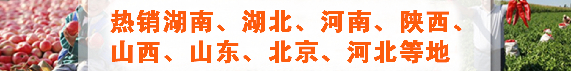 内蒙古羊粪肥